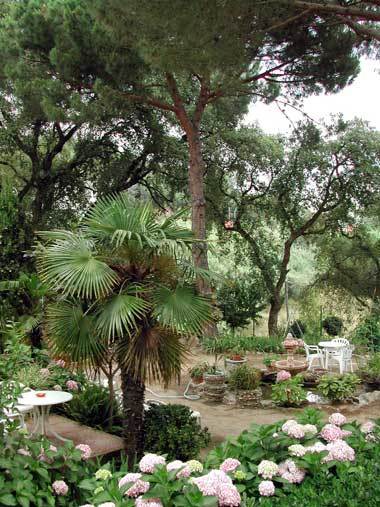 Magnolia Guest house