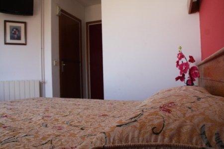 Magnolia Guest house